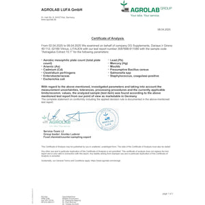 Hepatica Astragalus 6,000Mg | 15:1 Extract (400Mg) | 120 Vegan Capsules | 20% Polysaccharides | High Strength Immune & Energy Support | 3Rd Party Lab Tested