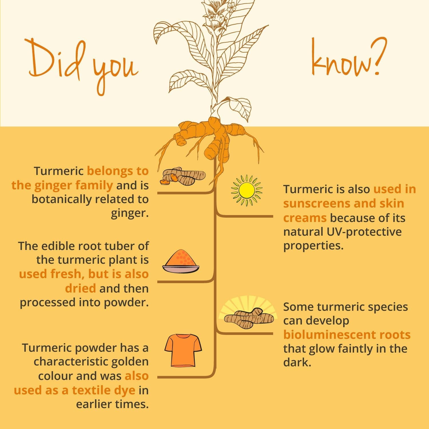 Vegavero Organic 14,200 Mg Turmeric and Black Pepper Capsules High Strength | Curcumin 152 Mg and Piperine 9,5Mg | NO Additives, Lab-Tested