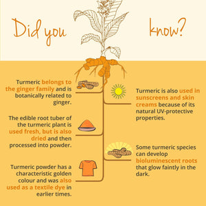 Vegavero Organic 14,200 Mg Turmeric and Black Pepper Capsules High Strength | Curcumin 152 Mg and Piperine 9,5Mg | NO Additives, Lab-Tested