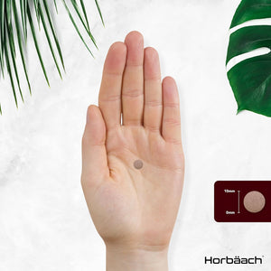 Red Yeast Rice 1000Mg | 120 Vegan Tablets | High Strength Supplement with Monacolin K | Monascus Purpureus | by Horbaach