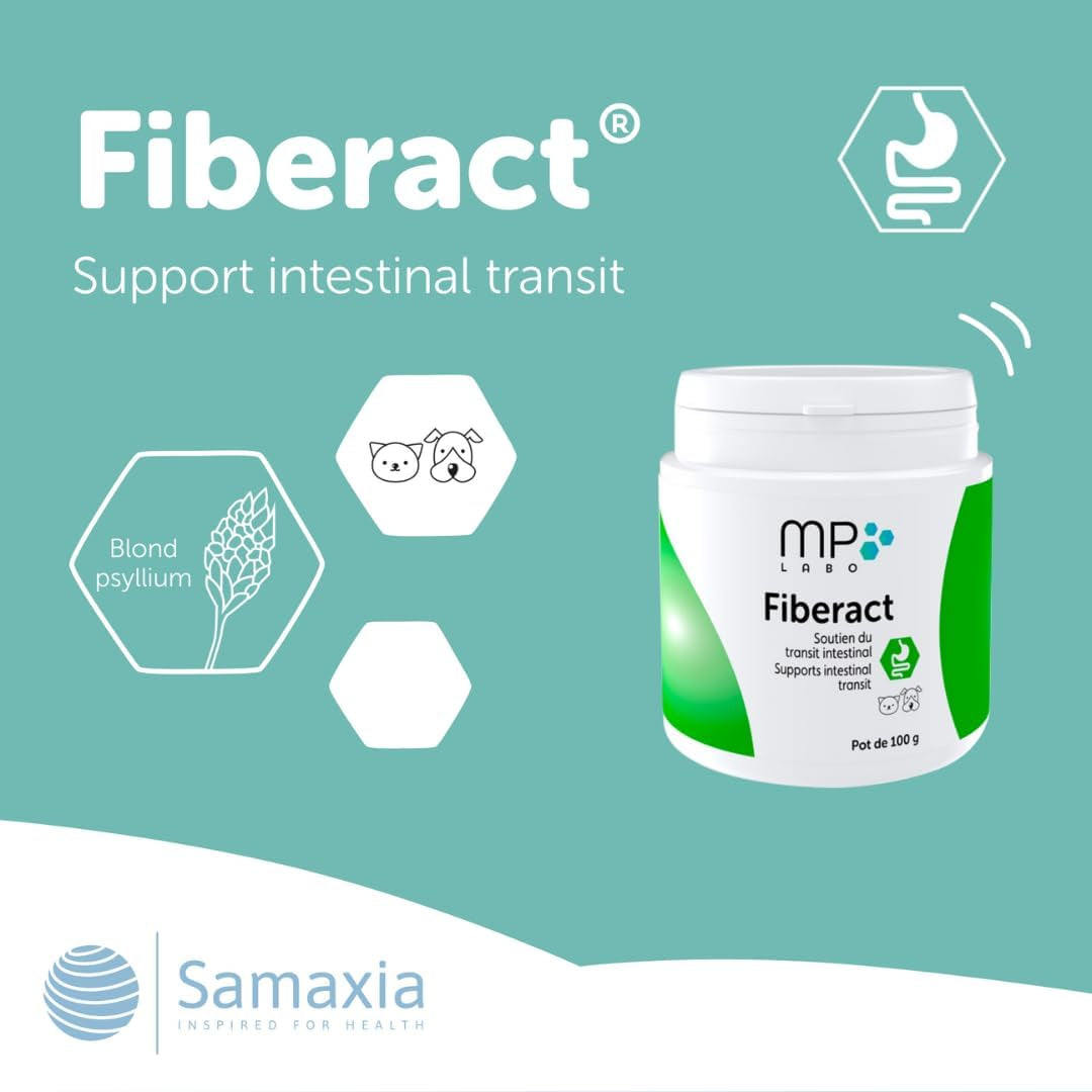 Fiberact for Dogs & Cats – Natural Gut Health & Gland Support – Helps Reduce Hairball Build-Up & Maintain Normal Stool Consistency – Supports Scooting Reduction – Blond Psyllium Powder 100G