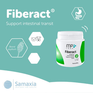 Fiberact for Dogs & Cats – Natural Gut Health & Gland Support – Helps Reduce Hairball Build-Up & Maintain Normal Stool Consistency – Supports Scooting Reduction – Blond Psyllium Powder 100G