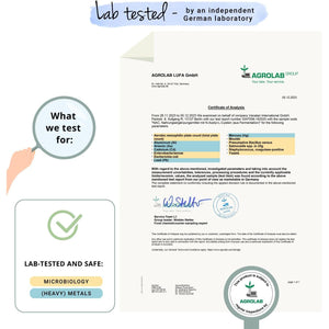 Vegavero NAC Supplement | 100% Pure N-Acetyl-Cysteine 600 Mg | Lab Tested, NO Additives | 180 Capsules | Vegan