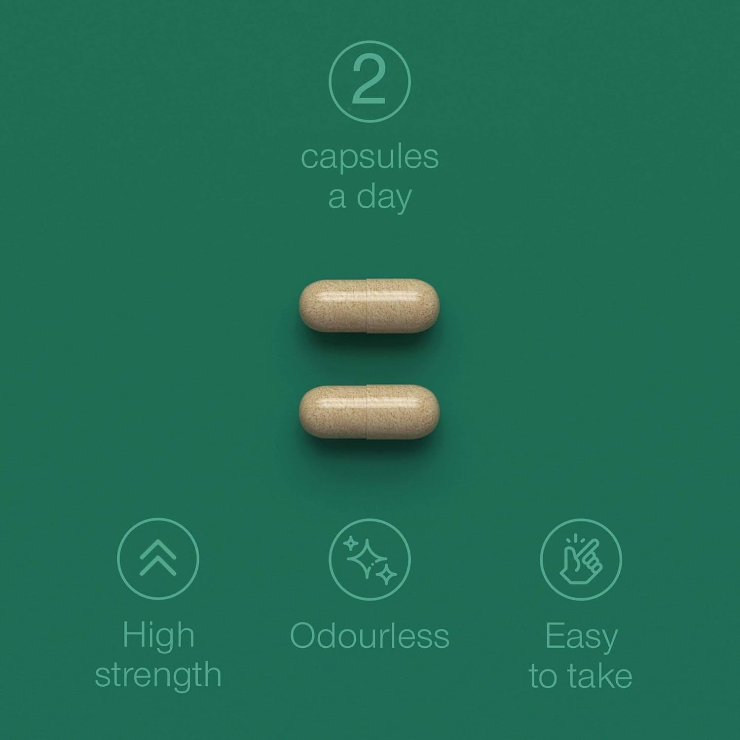 Green Lipped Mussel for Humans & Dogs - New Zealand Green Lipped Mussel Capsules 1000Mg - High Strength Joint & Mobility Supplement with Omega 3-100% Pure Powder - 90 Tablets - Made in the UK