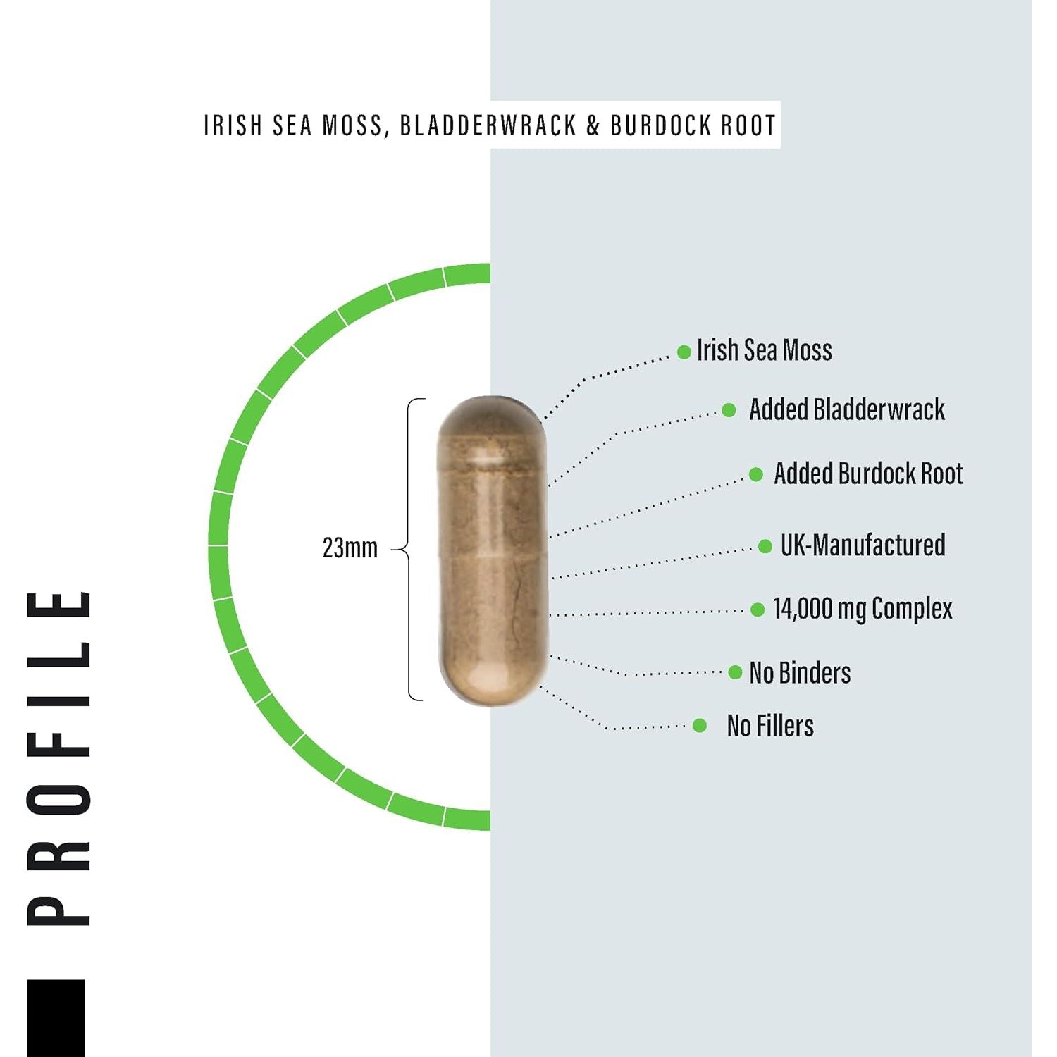 Sea Moss Complex 14,000Mg Extract Including Bladderwrack & Burdock Root - 120 High Strength Capsules Providing 120 Day Supply - North Atlantic Irish Sea Moss Supplement - Vegan & UK Made