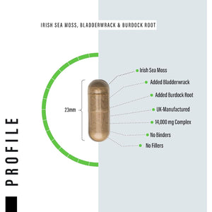 Sea Moss Complex 14,000Mg Extract Including Bladderwrack & Burdock Root - 120 High Strength Capsules Providing 120 Day Supply - North Atlantic Irish Sea Moss Supplement - Vegan & UK Made