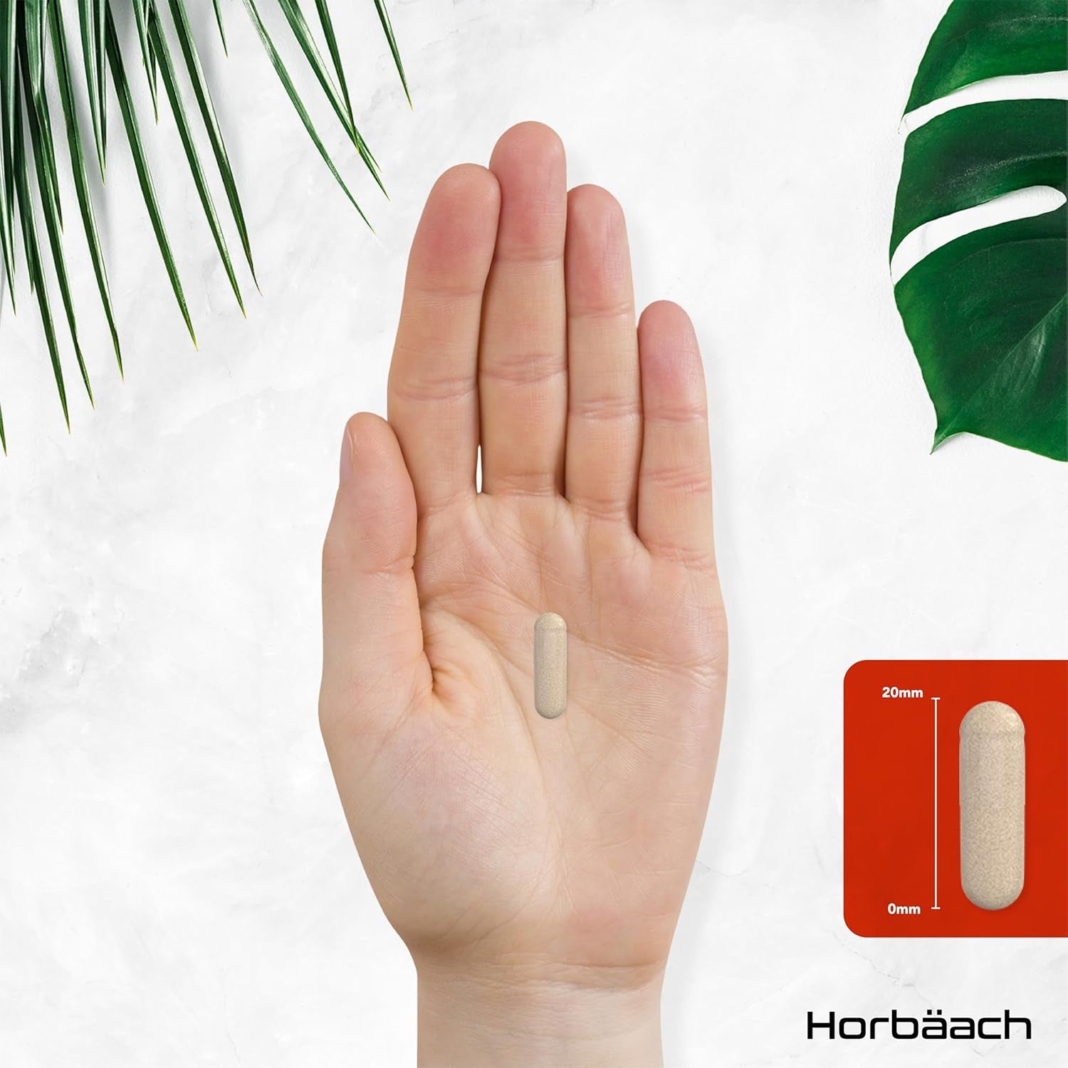 Psyllium Husk Capsules 1400Mg | Fibre Supplement | 365 Vegan Capsules (6-Month Supply) | High Strength Psyllium Husk Powder | Natural Prebiotic | by Horbaach