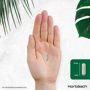 Organic Moringa Capsules 2400Mg | High Strength Moringa Oleifera Leaves | 120 Vegan Powder Capsules | Horbaach