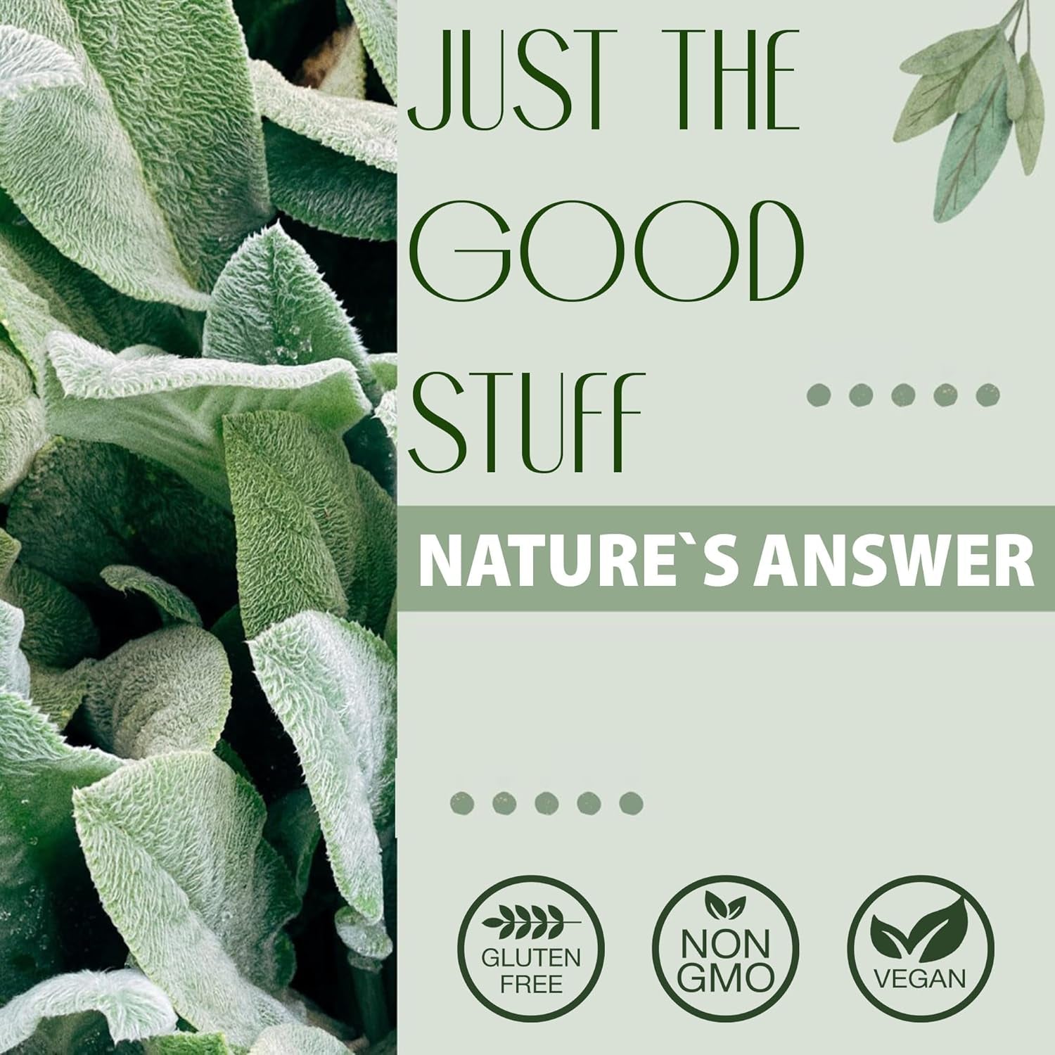 Nature'S Answer, Liquid Magnesium Glycinate, 200Mg, 480Ml, Vegan, Gluten-Free, Soya-Free, Vegetarian, Gmo-Free