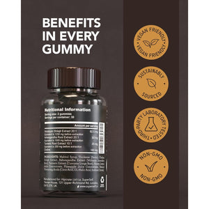 Himalayan Shilajit Gummies – Grade Gold Gummies for Men & Women with Ashwagandha & Turmeric - 2500Mg High Strength Supplement for Energy & Focus - Pure Authentic Shilajit with Fulvic Acid - Pineapple