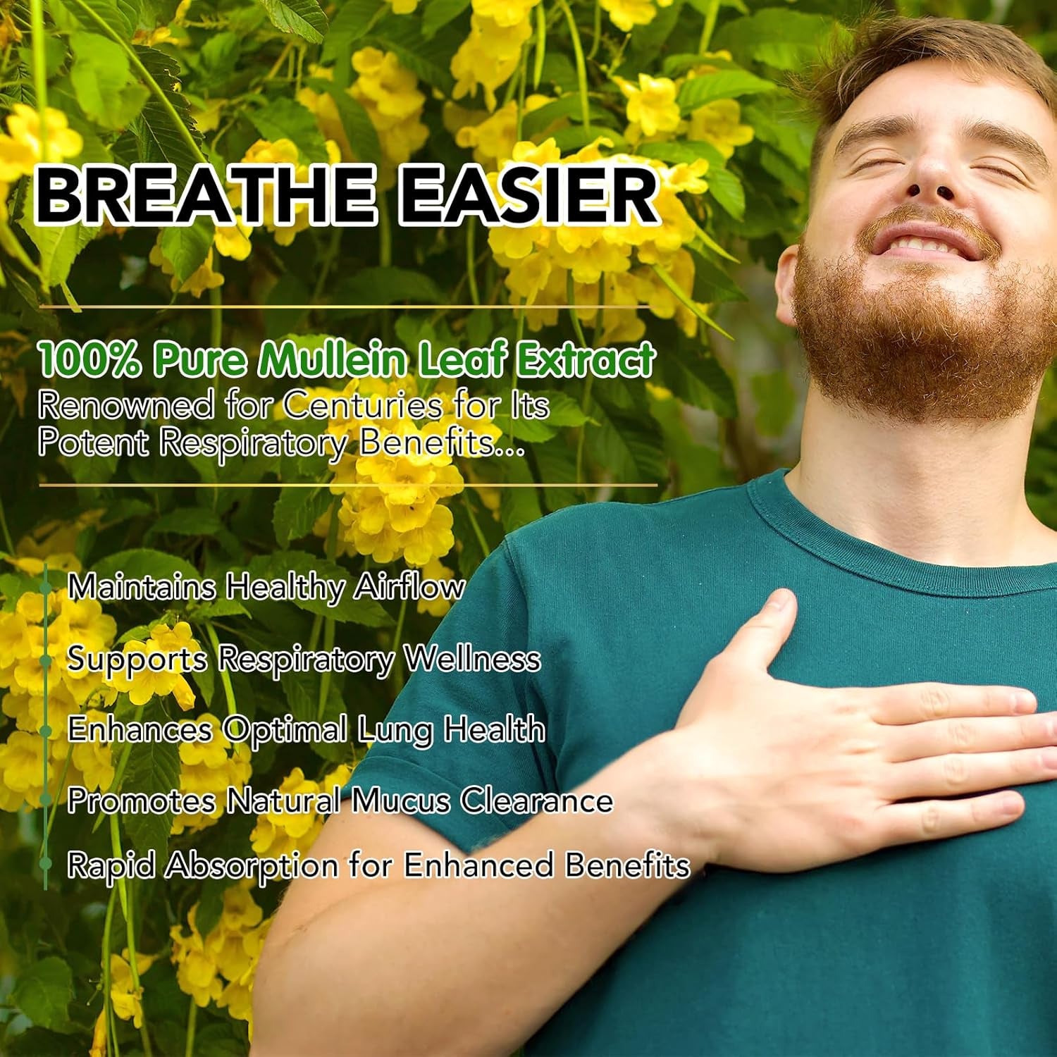 Mullein Leaf Extract for Lungs, Natural Mullein Drops for Lung Cleanse and Healthy Breathing, 1 Month Supply 60ML, Vegetarian, High Fast Absorption, Health Supplements, Cleanse and Respiratory Support