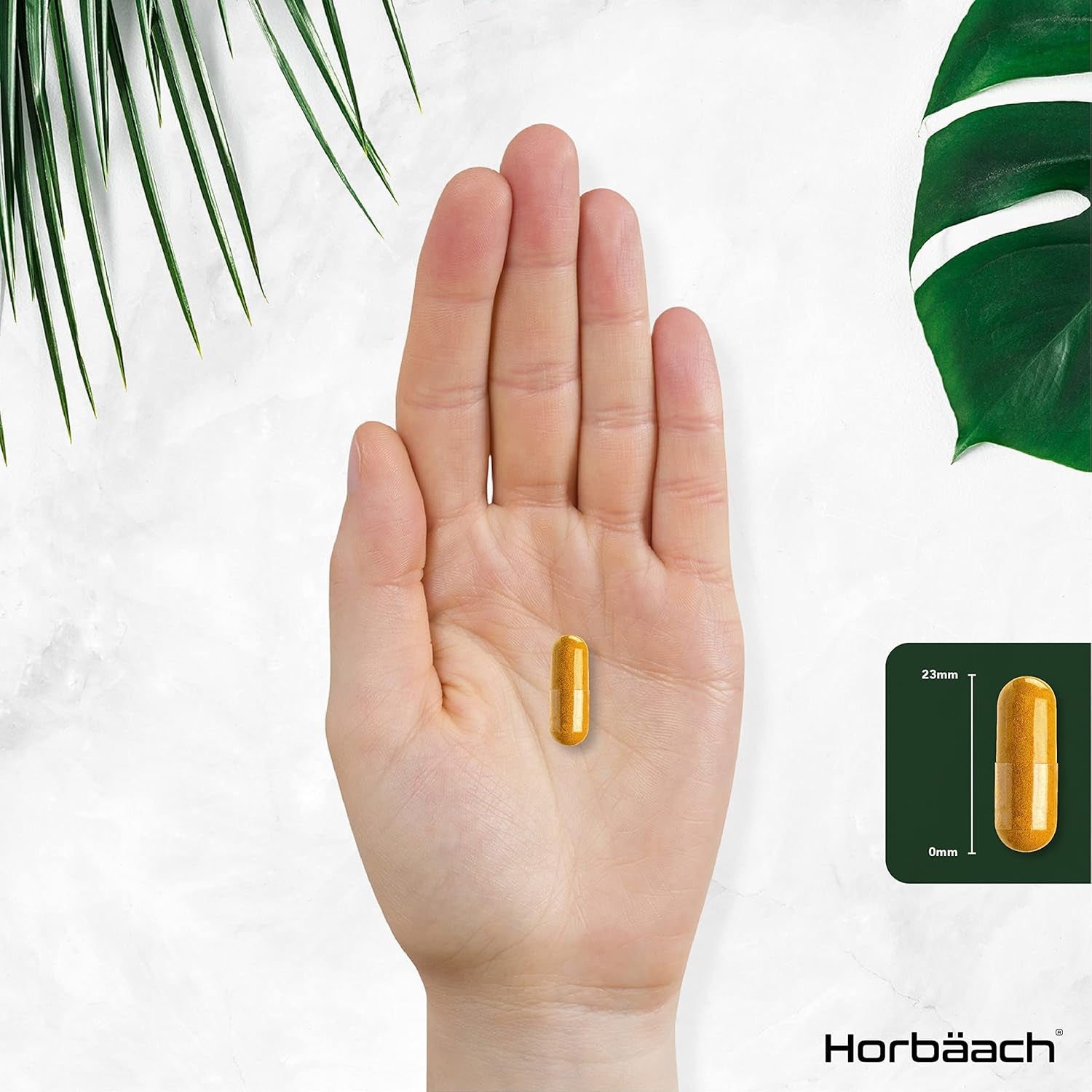 Organic Turmeric and Black Pepper 2160Mg | with Added Ginger | High Strength Curcumin Capsules | 365 Vegan Capsules | Easy-To-Swallow Formula | by Horbaach