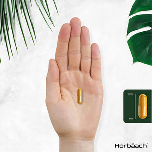 Organic Turmeric and Black Pepper 2160Mg | with Added Ginger | High Strength Curcumin Capsules | 365 Vegan Capsules | Easy-To-Swallow Formula | by Horbaach