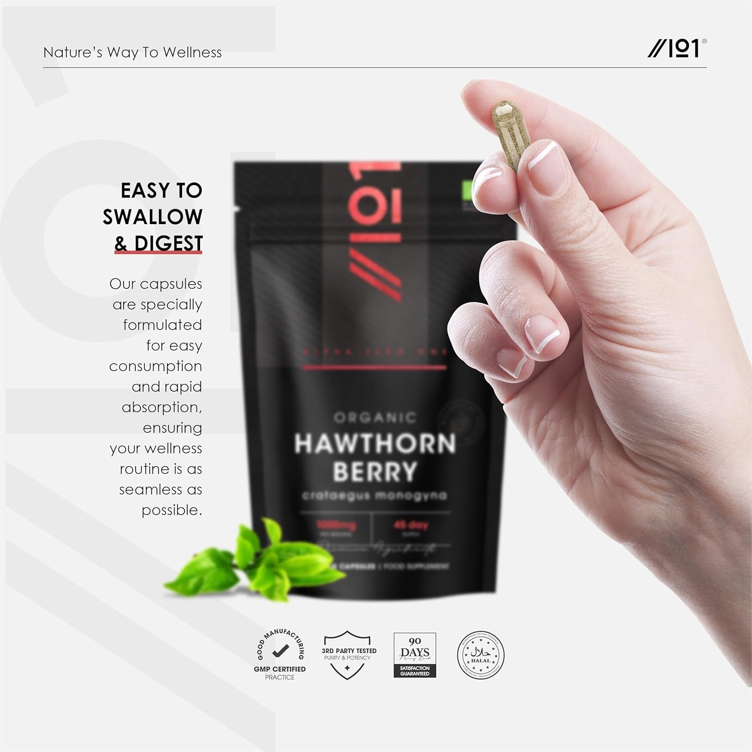 Organic Hawthorn Berry 1000Mg – High Strength Hawthorn Supplement – 90 Vegan Capsules – Resealable and Recyclable Pouch by Alpha01