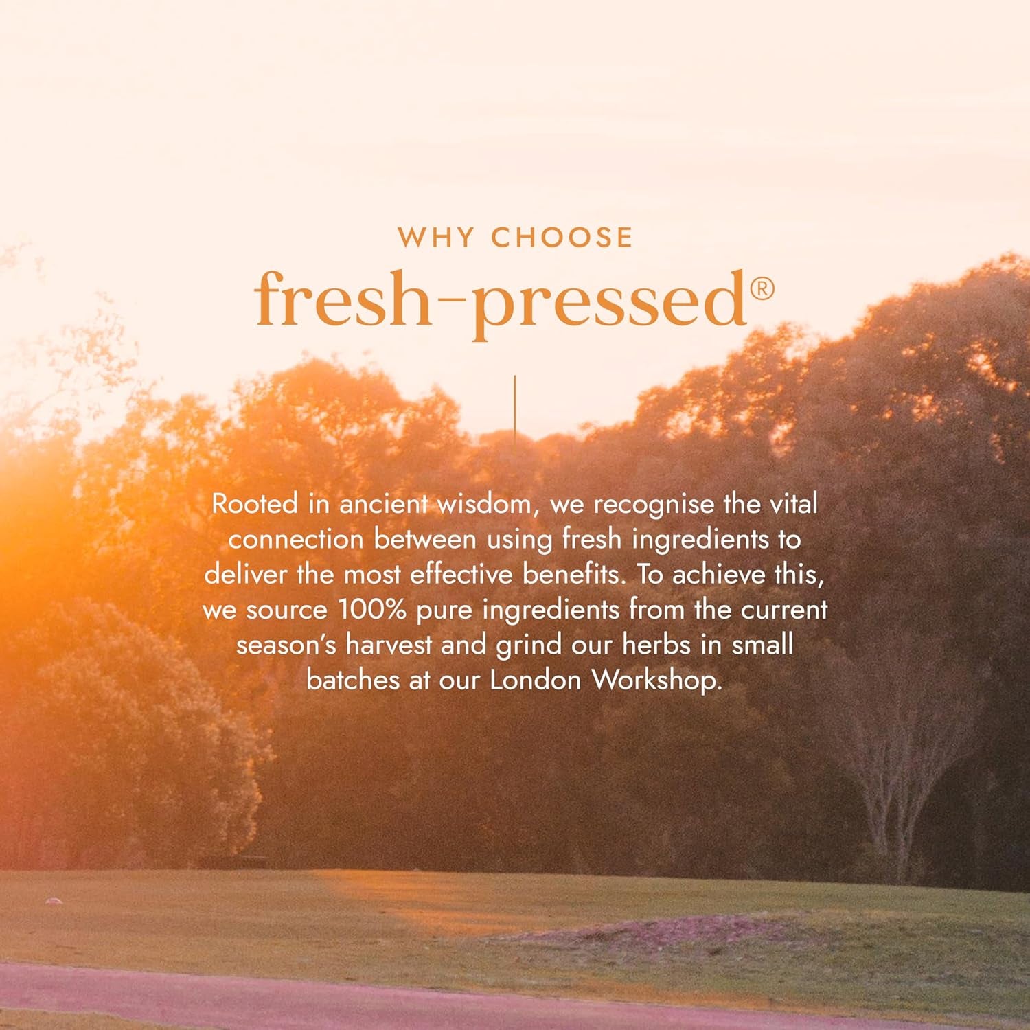 Fushi Organic Flax Seed Oil 100Ml | Fresh & Cold Pressed | Rich in Omega 3 Essential Fatty Acids| Best for Inner Health, Dry Skin | Made from English Grown Seeds | | Ethical & Vegan | Made in the UK