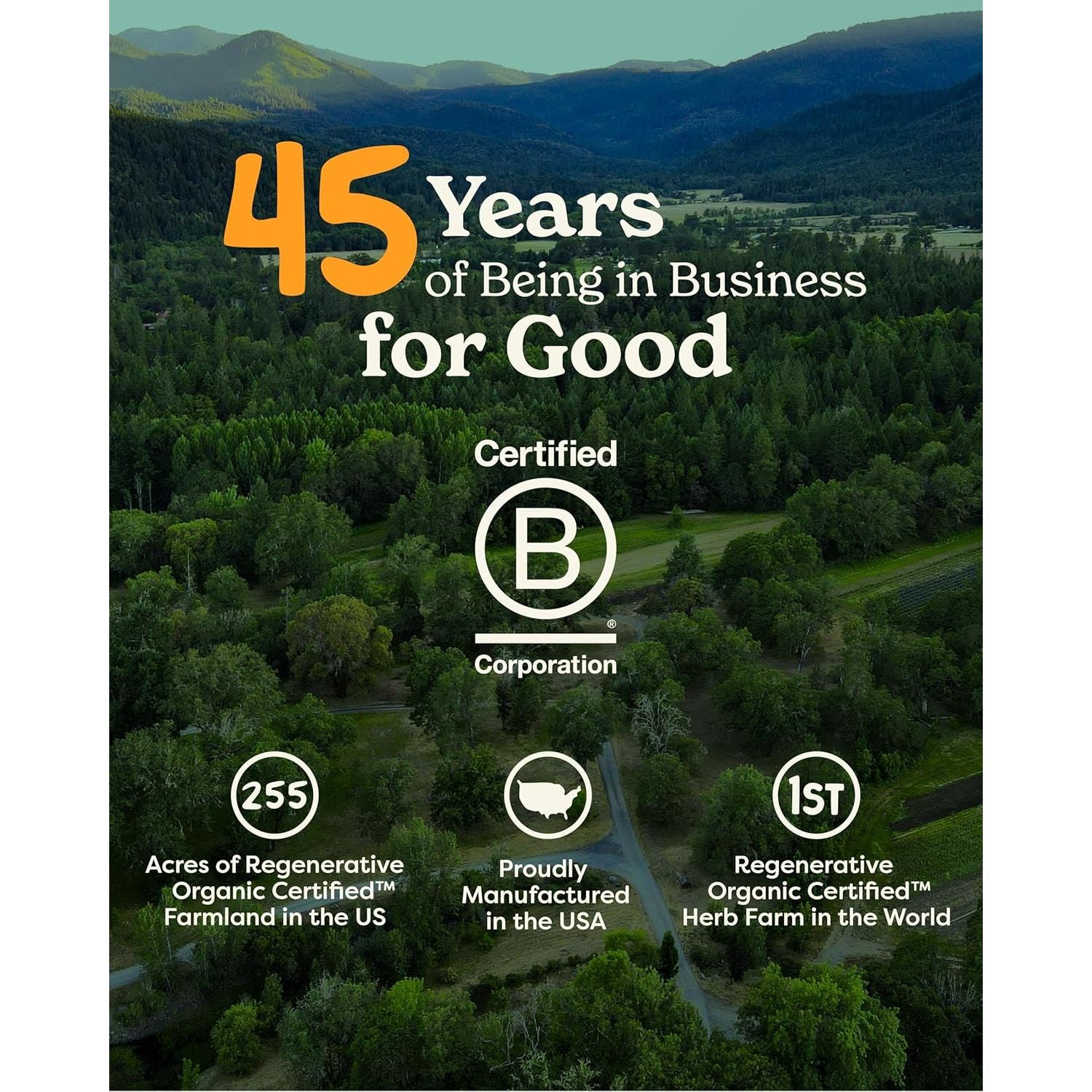 Herb Pharm Mullein Garlic Herbal Oil - Contains Calendula, Garlic, Mullein Flower, St. John'S Wort, Olive Oil, 1 Ounce