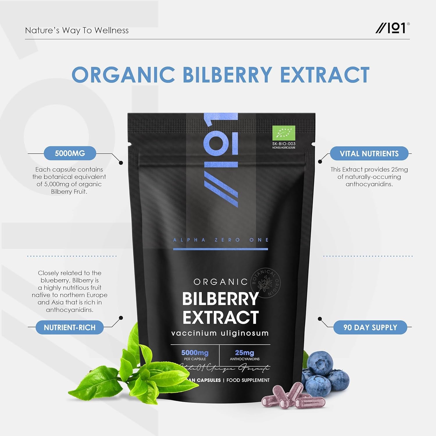 Organic Bilberry Extract 5000Mg – High Strength 5% Anthocyanidins – 90 Vegan Capsules (3 Months Supply) – Resealable and Recyclable Pouch – by Alpha01