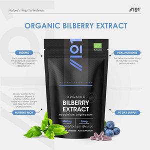 Organic Bilberry Extract 5000Mg – High Strength 5% Anthocyanidins – 90 Vegan Capsules (3 Months Supply) – Resealable and Recyclable Pouch – by Alpha01