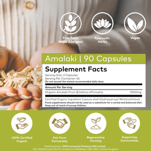 Organic India Amalaki, Certified Organic & Vegan, 90 Capsules