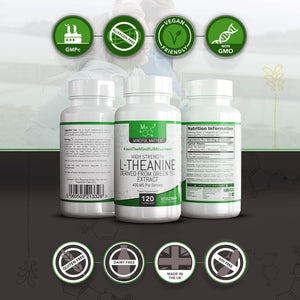 MM L Theanine | 120 L-Theanine Capsules from Green Tea - High Strength 1000Mg Green Tea Extract Providing 300Mg L'Theanine per Serving | L Theanine Supplement | Non-Gmo Gluten Free | Made in UK
