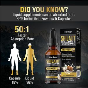 Shilajit, Ashwagandha, Lions Mane Liquid Drops - 120Ml Coconut Flavour - Testosterone Booster for Energy, Focus & Vitality - Ashwagandha & Lions Mane Supplement for Men - Natural Shilajit Complex 2Pk