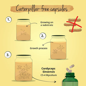 Vegavero Cordyceps Sinensis 6500 Mg | 10:1 Mushroom Extract | 4-Month Supply | 40% Polysaccharides | NO Additives | Lab-Tested | Vegan