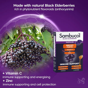 Sambucol Natural Black Elderberry Immuno Forte Chewable Pastilles | Vitamin C | Zinc | Immune Support Supplement | 20 Pastilles