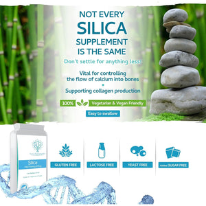 Silica 225Mg - a Potent Highly Bioavailable Form - Naturally Sourced from Bamboo Extract - 90 One-A-Day Vegan Capsules – Exclusively Manufactured in the UK