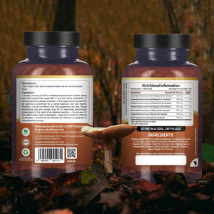 Advanced Mushroom Complex 2000Mg | a Super Blend of 6 Mushrooms with Lion'S Mane, Chaga, Cordyceps, Shiitake, Reishi and Maitake with Black Pepper | 120 Vegan High Strength Tablets UK Made by Prowise