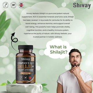 Shilajit 16000Mg Complex 5 in 1 with Ashwagandha + Lions Mane | 120 Vegan Capsules - 4 Month Supply | High Strength Pure Himalayan Shilajit | Rich in Fulvic Acid | Made in UK by Shivay Herbals