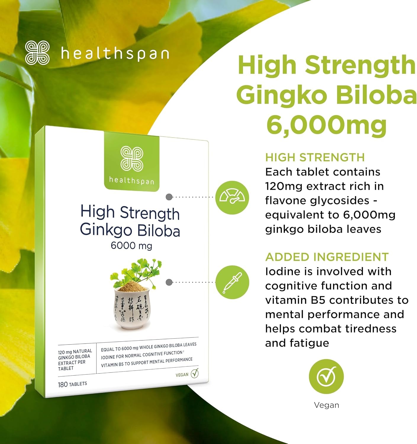 Healthspan Ginkgo Biloba 6,000Mg | High Strength | 180 Tablets | Iodine | Vitamin B5 | Flavone Glycosides | Vegan