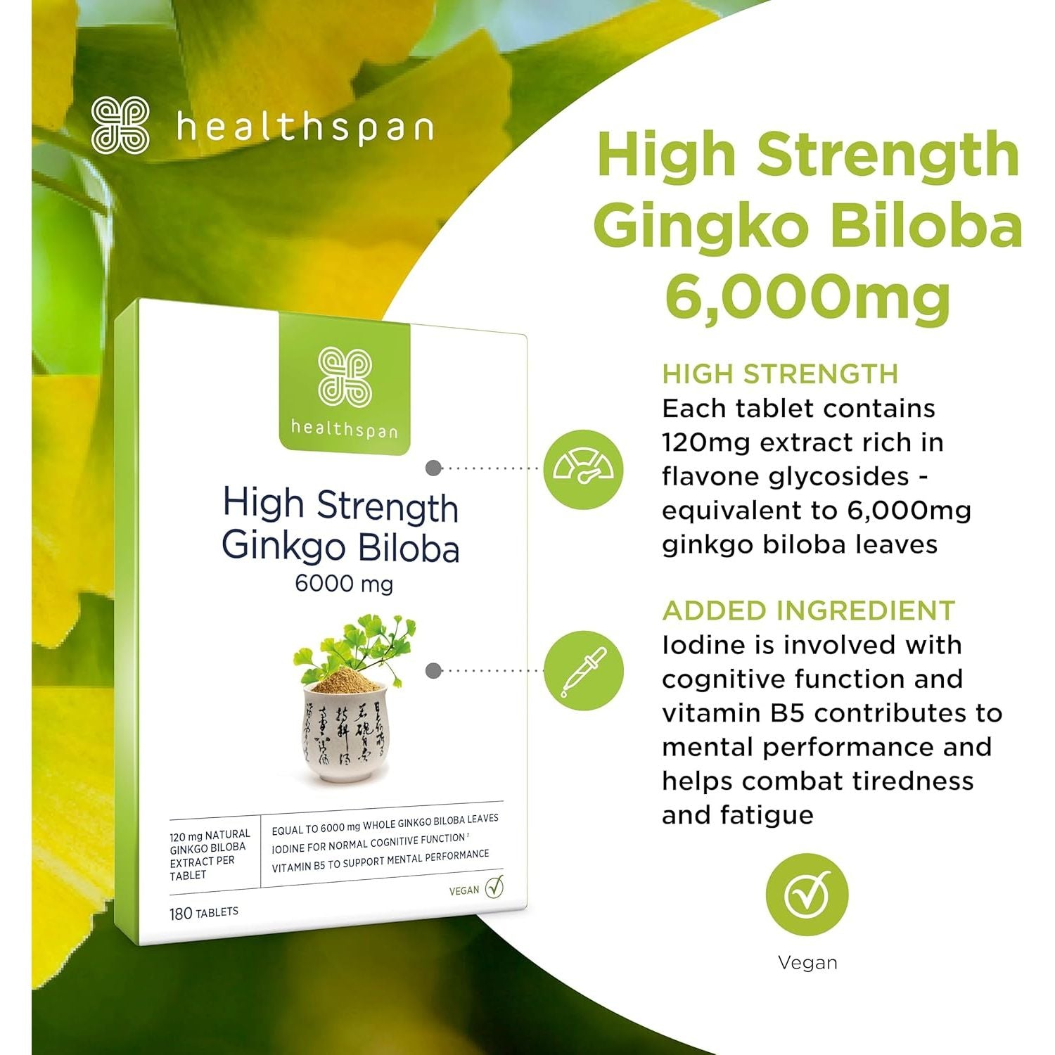 Healthspan Ginkgo Biloba 6,000Mg | High Strength | 180 Tablets | Iodine | Vitamin B5 | Flavone Glycosides | Vegan