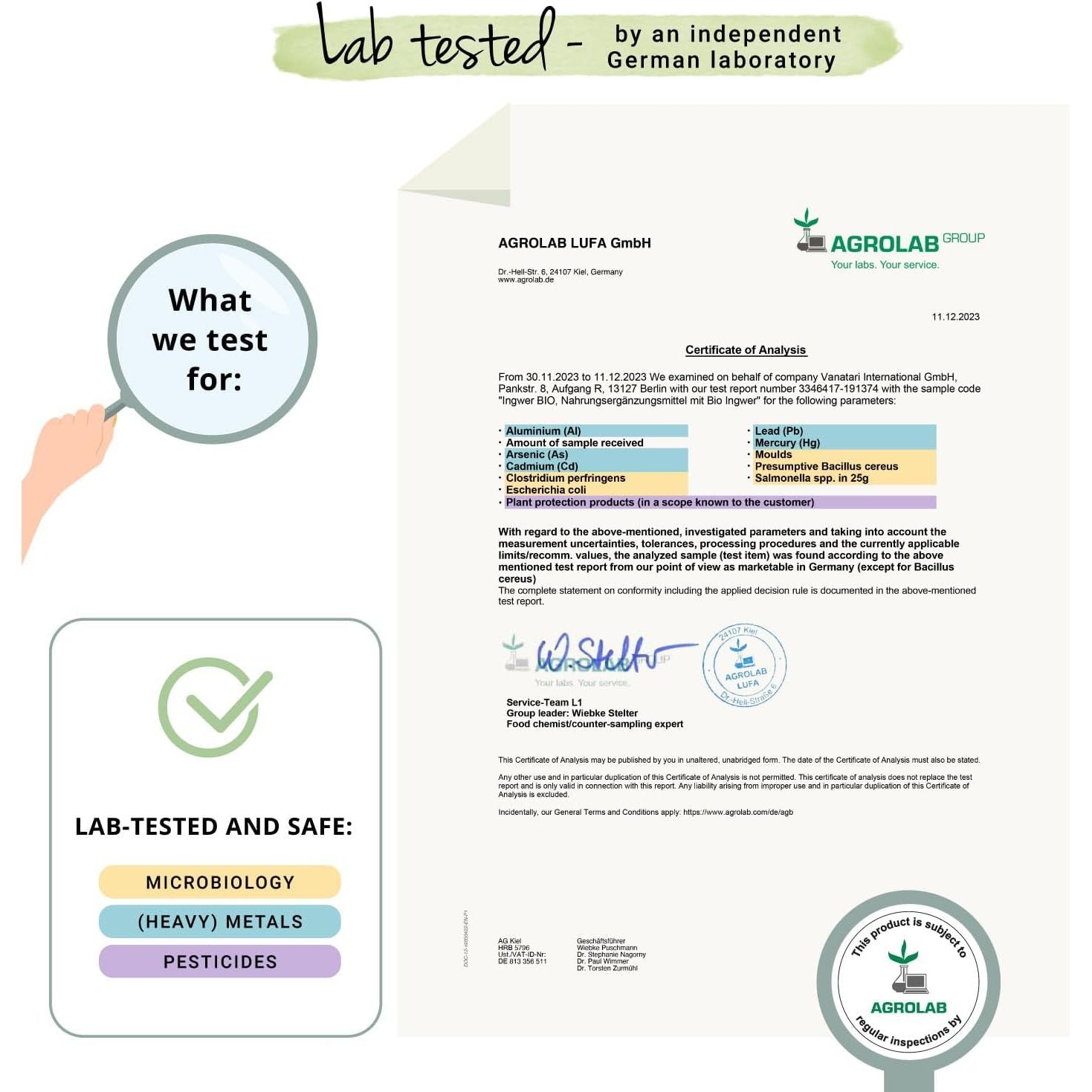 Vegavero Organic Ginger Capsules | 650 Mg Root Powder | NO Additives | Lab-Tested | 120 Units | Vegan