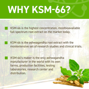 Applied Nutrition Ashwagandha KSM-66 - Premium Ashwagandha Herbal Supplement for Energy, Anxiety, Stress, Made in the UK (60 Capsules)