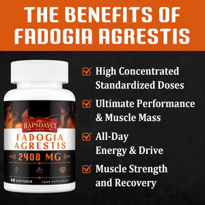 Rapsdayci Fadogia Agrestis 2400Mg per Serving High Potent 50:1 Ratio Extract Powerful Fadogia Agrestis Supplement, Stamina, Strength, Drive & Performance 60 Count (Pack of 1)