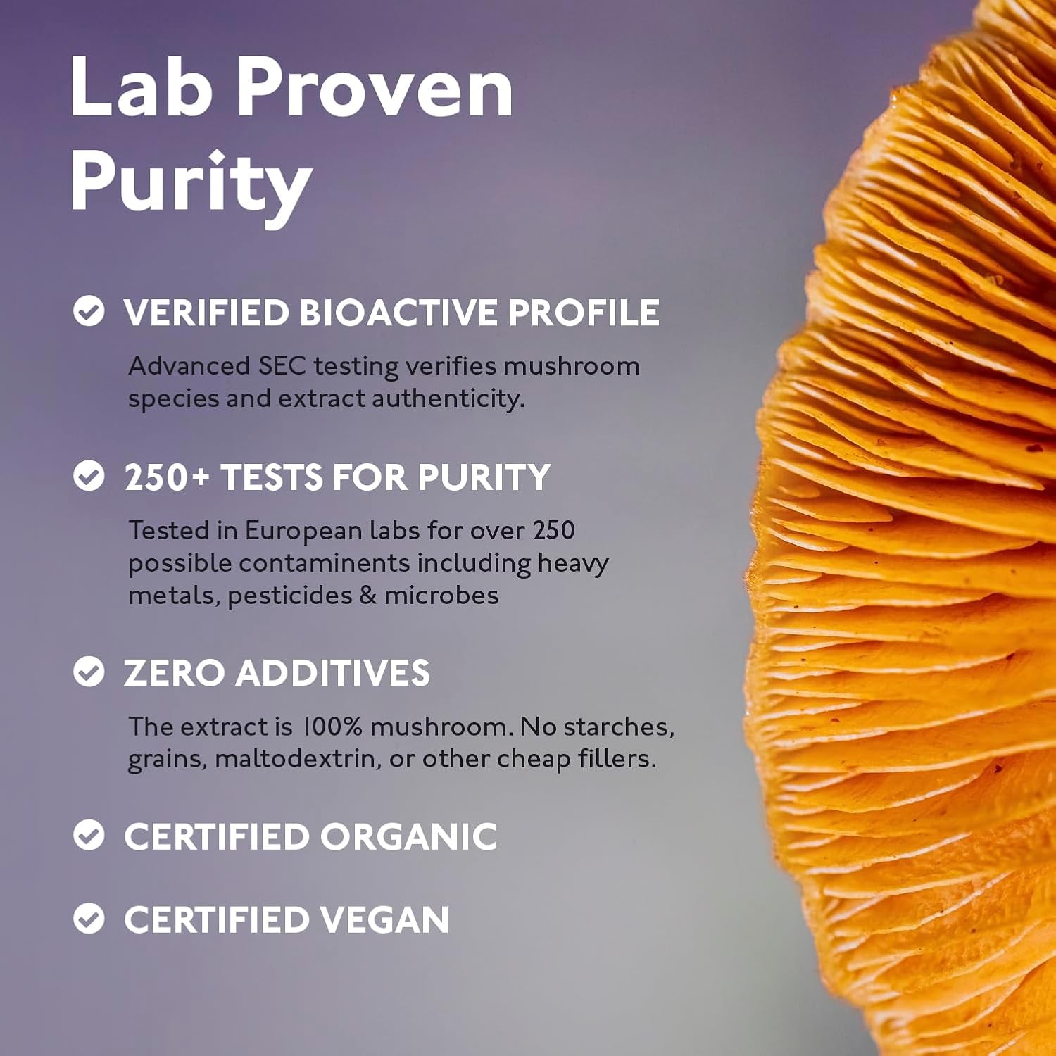 Organic Mushroom Complex 8 | Pure Fruiting Body Extracts Zero Additives | High Strength 30% Extract of Lion'S Mane, Reishi, Cordyceps, Chaga, Shiitake, Tremella, Maitake & Oyster | 60 Vegan Capsules
