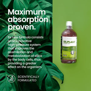 G7 Siliplant Improved Formula. Liquid Silica Supplement Collagen Booster, Strengthens Bones and Joints Supplements, Boosts Skin Elasticity. 33-Day Treatment.