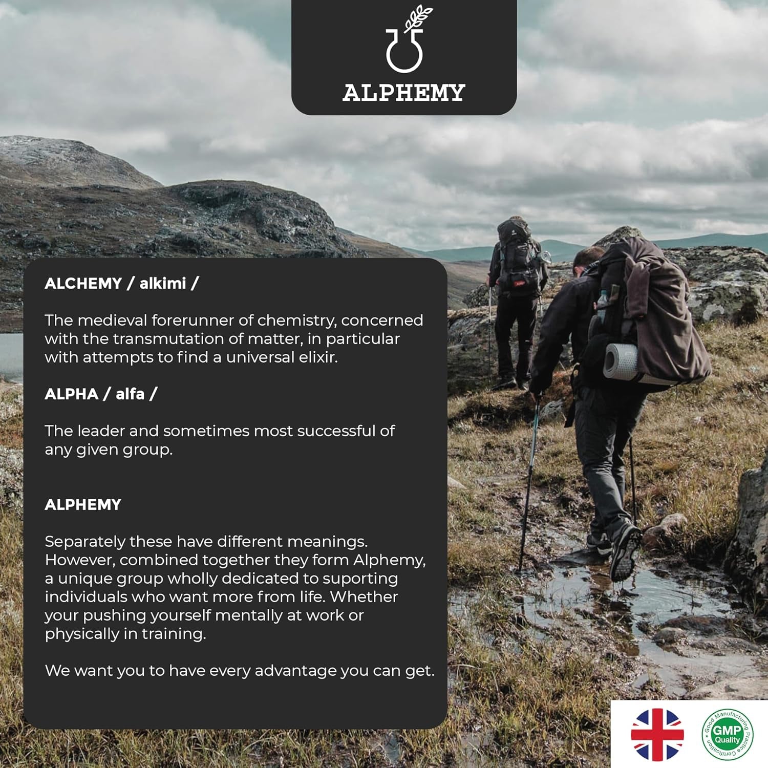 Advanced Multivitamin & Minerals | 120 Tablets / 4 Month Supply | 26 A-Z High Strength Bioactive Vitamins, Minerals, Antioxidants & Herbal Extracts. Daily Supplement for Men & Women. UK Made Alphemy