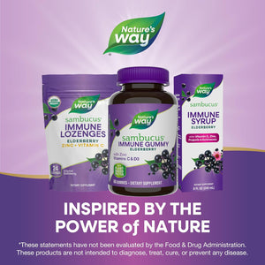 Nature'S Way - Sambucus Elderberry - 3200 Mg per Serving - Immune Support - with Vitamin C and Zinc - Gluten Free - Suitable for Vegetarians - 60 Gummies