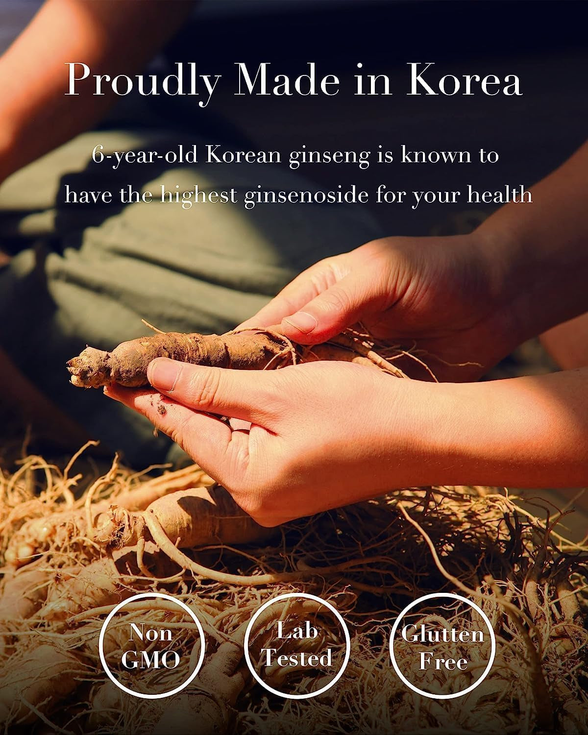 Il Hwa Korean Ginseng Extract - 100% Pure Panax Ginseng - Enhanced with Natural Ginsenosides - Easy-To-Use with Included Spoon - 50G
