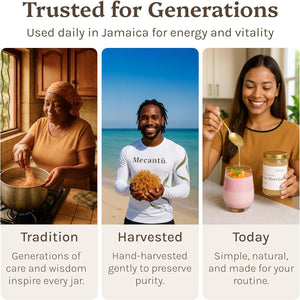 Sea Moss Gel 350Ml - 100% Wildcrafted Jamaican Seamoss | Rich in 92 Essential Minerals & Vitamins | Supports Immunity, Skin & Gut Health | Vegan & Gluten-Free Superfood | Dr Sebi Inspired Irish Moss