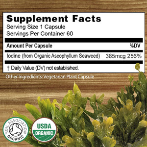 Certified Organic Iodine from 500Mg Sea Kelp Giving 385Mcg Iodine per Capsule 256% RDA Contributes to Normal Thyroid Function