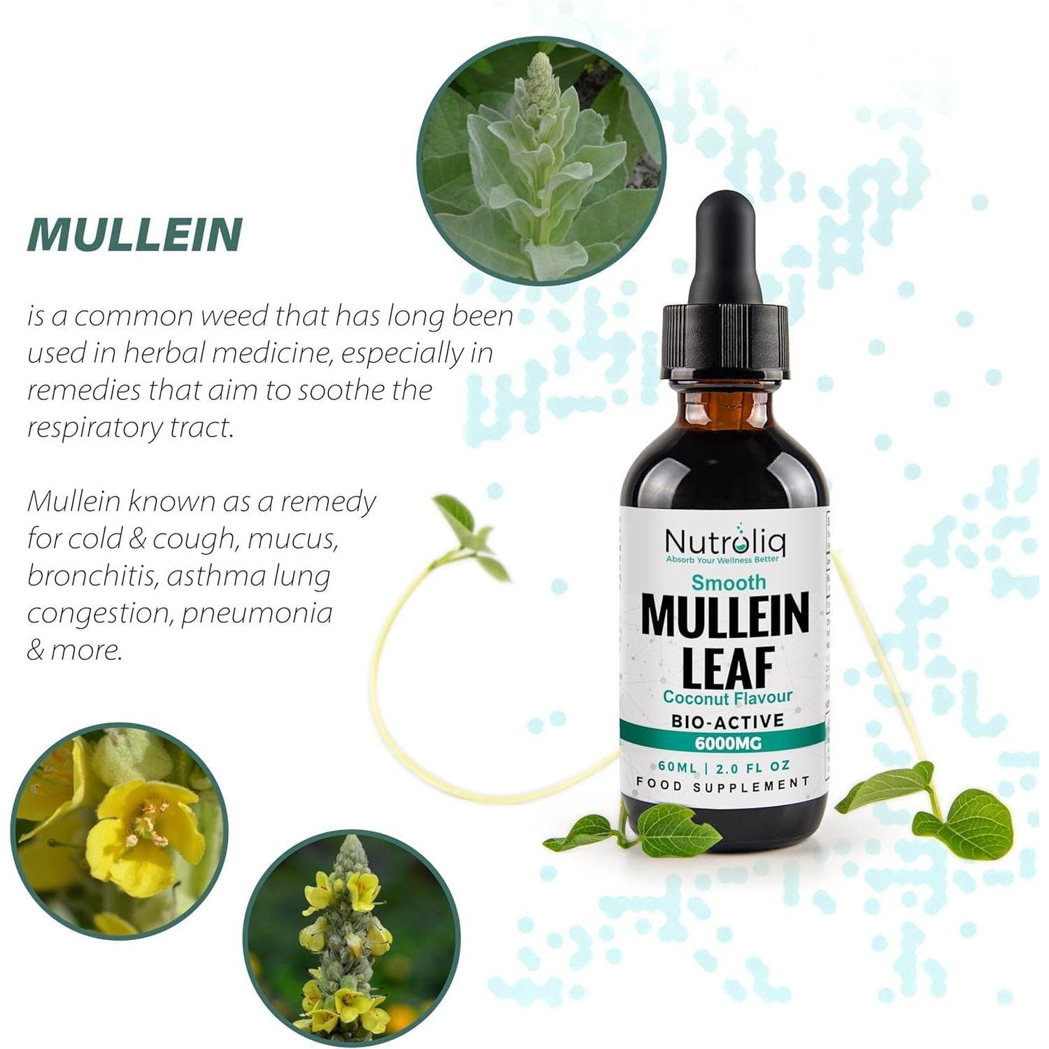 Nutroliq Mullein Leaf 50:1 Extract Drops - Vegan, Non-Gmo Supplements for Lung Cleanse and Respiratory Health, Digestive Wellness, Sound Sleep Support - Fast Absorption Tincture - 60Ml, 2 Month Supply