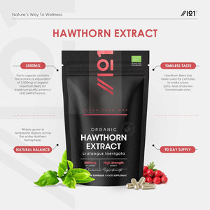 Organic Hawthorn Extract 3500Mg – 90 Vegan Capsules – High Strength Hawthorn Berry Supplement 7:1 Extract – Resealable and Recyclable Pouch by Alpha01