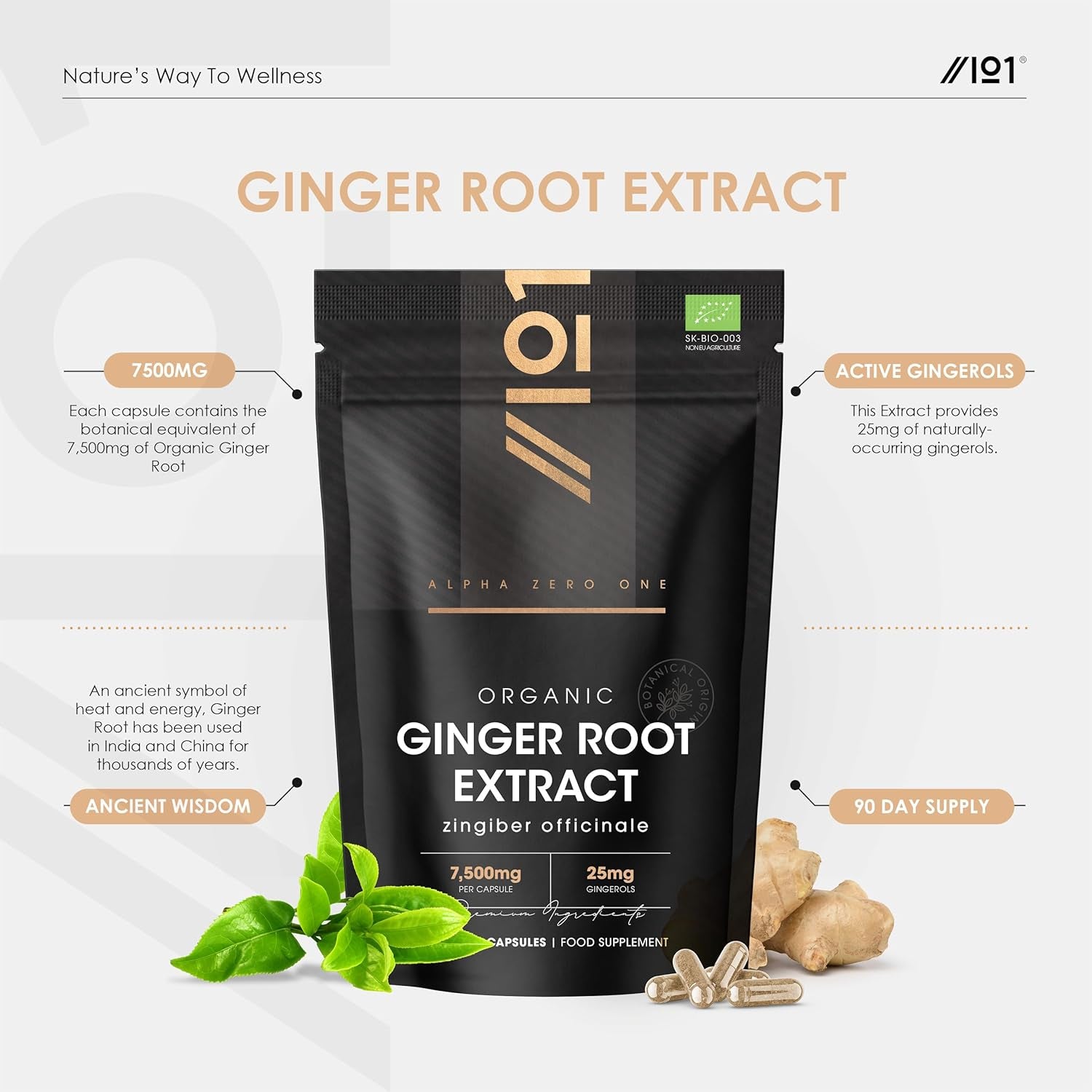 Organic Ginger Extract 7500Mg – Standardised 5% Gingerols (25Mg) - 90 Vegan Capsules (3 Months Supply) – Resealable and Recyclable Pouch by Alpha01