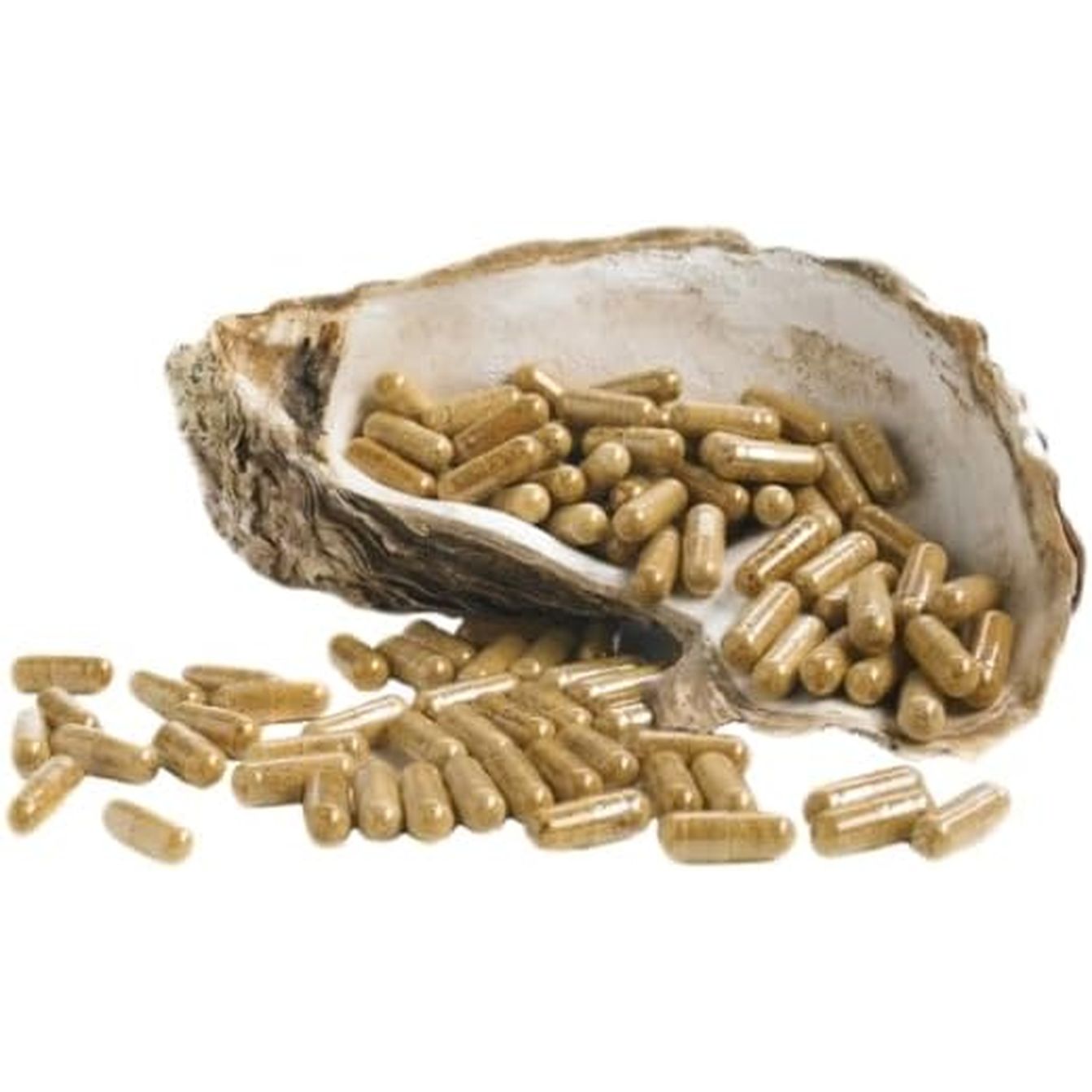Oystermax® by Marine Healthfoods | Pure Oyster Extract | Natural Zinc Supplement | Energy Booster | Contains Natural Zinc from Oysters | 120 Capsules (1) (Zinc Supplement - Pack 1)