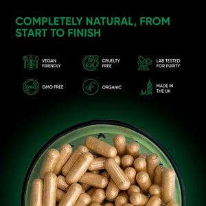 Friend of Dorothy - Bottom Fiber Supplement for Effortless Prep Time - Helps Promote Digestive Regularity - Psyllium Husk Based - for Men Who Bottom, 90 Capsules