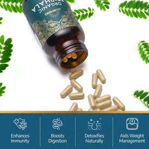 Ayurvediq Wellness Organic Triphala Capsules 120, 500Mg – Natural Pure Triphala Powder Organic Capsules for Immunity, Digestion, Wellbeing – Soil Association Certified - Vegan Ayurveda Supplements