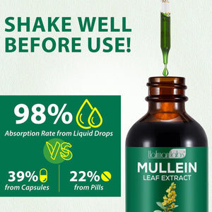 2 Pack Mullein Drops for Lungs, Mullein Leaf Extract with Chlorophyll, Mullein Leaf Extract Supplement, for Lung Cleanse and Respiratory Support