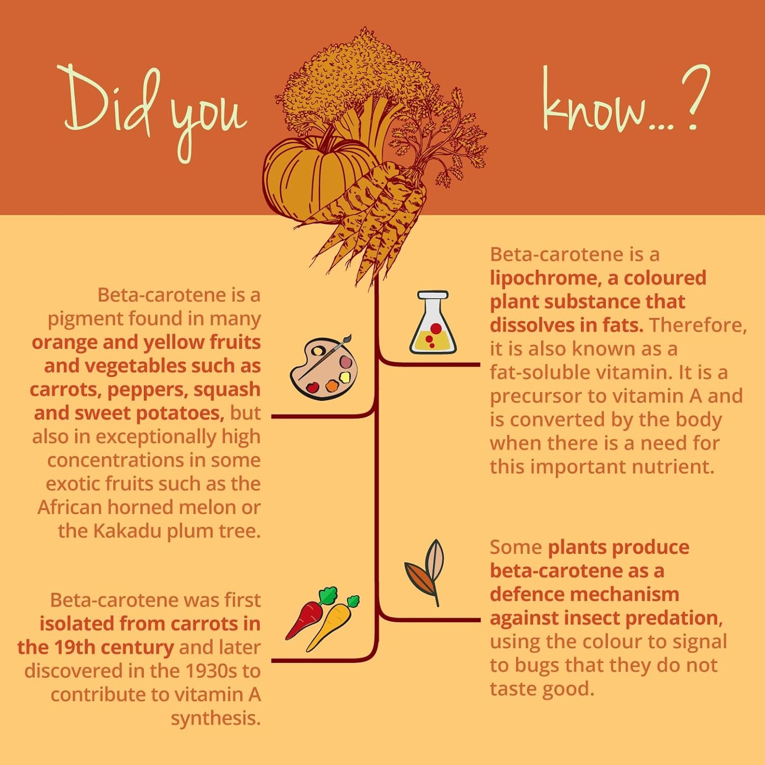 Vegavero Beta Carotene | 180 Capsules | Tan Accelerator | 100% Natural Source of Vitamin a | NO Additives, Lab-Tested | Vegan